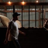 Joe Carr, 32, walks past Midas (left) and towards Firecracker (right). Joe has adopted four rescue horses and keeps them on his grandparent’s farm in Sedalia, Missouri, on Sept. 28, 2023. After long days working in the mechanic shop, Joe spends part of his evenings feeding and keeping his horse's company.