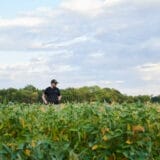 On Sept. 26, 2023, Joe Carr immediately checks on his family’s farm crops after getting home from working in his automotive repair shop. The farm originally belonged to his grandfather, and the healthy crop will be harvested on the 400-acre farm in Sedalia, Missouri.