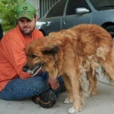 Before leaving the farm to work at his automotive shop in Sedalia, Missouri, on Sept. 28, 2023, Joe Carr, 32, takes a break to pet his fourteen-year-old rescue dog, Clyde. Joe began his workday at 4 a.m. by cutting grass on his family’s 400-acre farm.